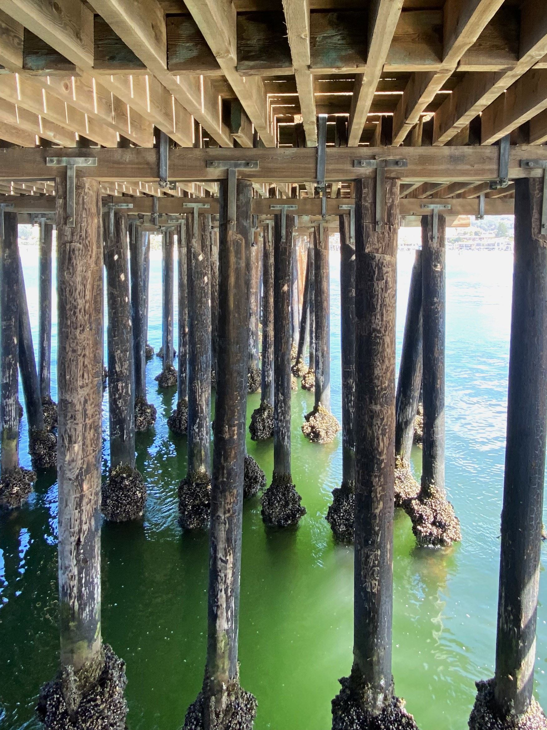 Avila Pier Below Deck