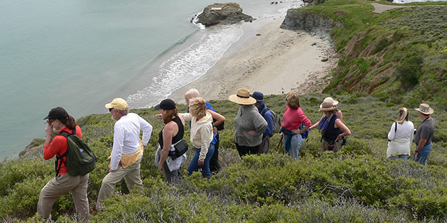 Hikers looking over the bay Opens in new window